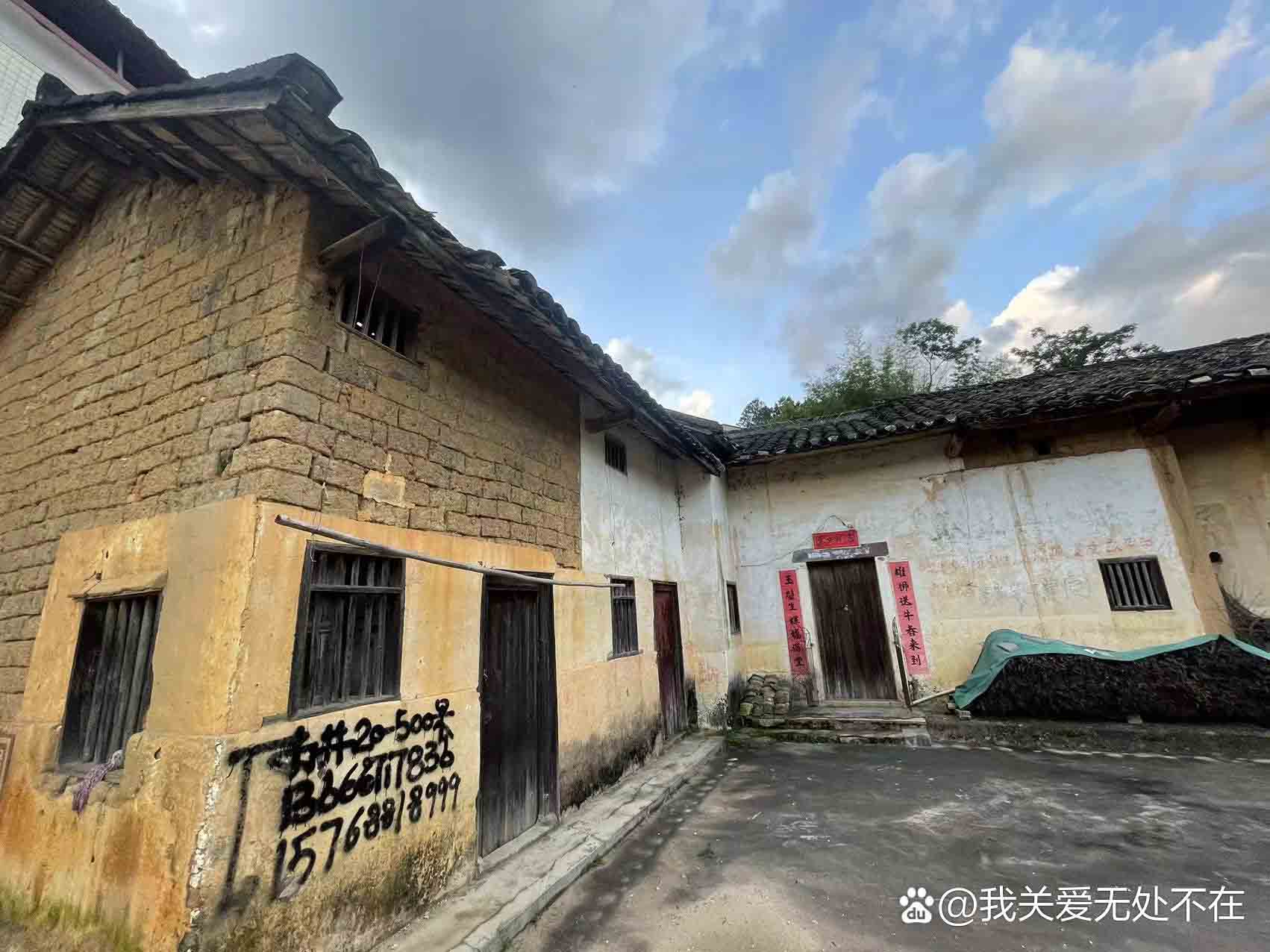 我作者親自報道：今重磅挖崛紅色人物，又被紅色人物所感染的下一代！